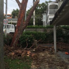 Land Clearing Services